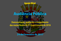 Audiência Pública de 24/02/2017